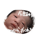 リタ君スタンプ（個別スタンプ：3）