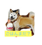 くりさん（日常）（個別スタンプ：5）