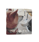くりさん（日常）（個別スタンプ：7）