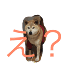 くりさん（日常）（個別スタンプ：14）