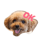 cutie bailey（個別スタンプ：7）