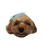 cutie bailey（個別スタンプ：12）