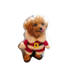 cutie bailey（個別スタンプ：14）