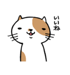 無難なネコ（個別スタンプ：1）