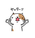 無難なネコ（個別スタンプ：3）