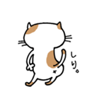無難なネコ（個別スタンプ：4）