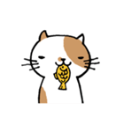 無難なネコ（個別スタンプ：12）