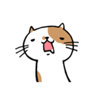 無難なネコ（個別スタンプ：13）