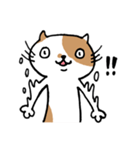 無難なネコ（個別スタンプ：15）