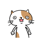 無難なネコ（個別スタンプ：16）