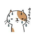 無難なネコ（個別スタンプ：17）