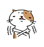 無難なネコ（個別スタンプ：18）