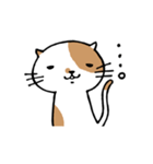 無難なネコ（個別スタンプ：20）