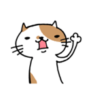無難なネコ（個別スタンプ：22）