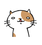 無難なネコ（個別スタンプ：24）