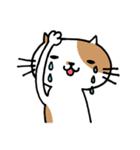 無難なネコ（個別スタンプ：26）