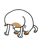 無難なネコ（個別スタンプ：27）