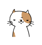 無難なネコ（個別スタンプ：28）
