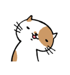無難なネコ（個別スタンプ：29）