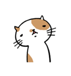 無難なネコ（個別スタンプ：30）