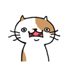 無難なネコ（個別スタンプ：31）