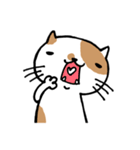 無難なネコ（個別スタンプ：34）