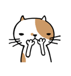 無難なネコ（個別スタンプ：35）