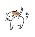 無難なネコ（個別スタンプ：37）