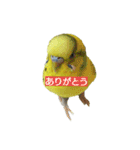 ネギマとユイとミミ（個別スタンプ：7）