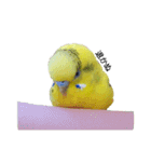 ネギマとユイとミミ（個別スタンプ：11）