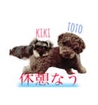 ruff（個別スタンプ：2）