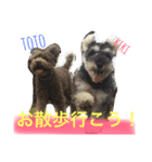 ruff（個別スタンプ：3）