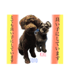 ruff（個別スタンプ：5）