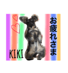 ruff（個別スタンプ：7）
