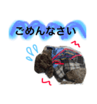 ruff（個別スタンプ：11）