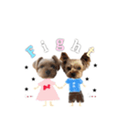 ヨーキーの" choco ＆ cocoa "（個別スタンプ：2）