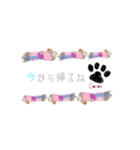 ヨーキーの" choco ＆ cocoa "（個別スタンプ：9）