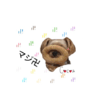 ヨーキーの" choco ＆ cocoa "（個別スタンプ：28）