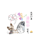 ヨーキーの" choco ＆ cocoa "（個別スタンプ：38）