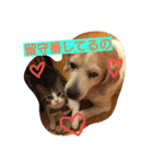 猫のゆめ（個別スタンプ：5）