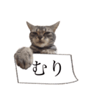 たまお一族（個別スタンプ：8）