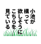 小池さん名前ナレーション（個別スタンプ：30）