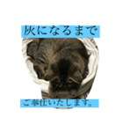 灰になるまでご奉仕いたします（個別スタンプ：1）