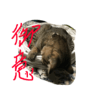 灰になるまでご奉仕いたします（個別スタンプ：4）