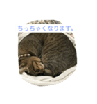 灰になるまでご奉仕いたします（個別スタンプ：6）