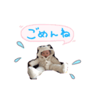 sora526（個別スタンプ：2）