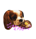 キャバゆき（個別スタンプ：1）