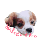 キャバゆき（個別スタンプ：3）