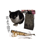Othello ＆Chobi（個別スタンプ：6）