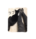 Othello ＆Chobi（個別スタンプ：14）